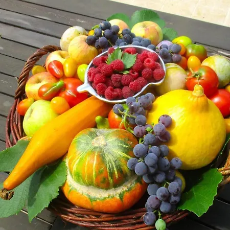 Tatil Evi Charming Garden Retreat In Pedrogao Grande