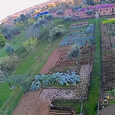 Casa Aloes Cottage Garden Retreat Pedrogao Grande *