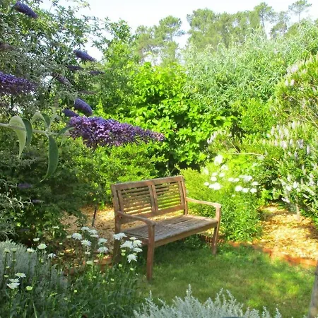 Ferienhaus Casa Aloes Cottage Garden Retreat Pedrogao Grande *