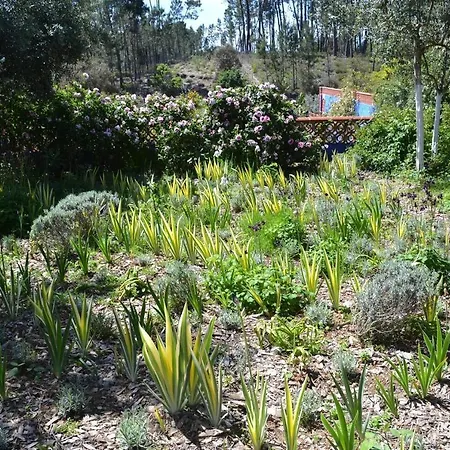 Casa Aloes Cottage Garden Retreat Pedrogao Grande *