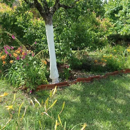 Casa Aloes Cottage Garden Retreat Pedrogao Grande Ferienhaus Pedrogao Grande