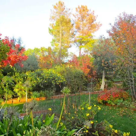 Casa Aloes Cottage Garden Retreat Pedrogao Grande Ferienhaus