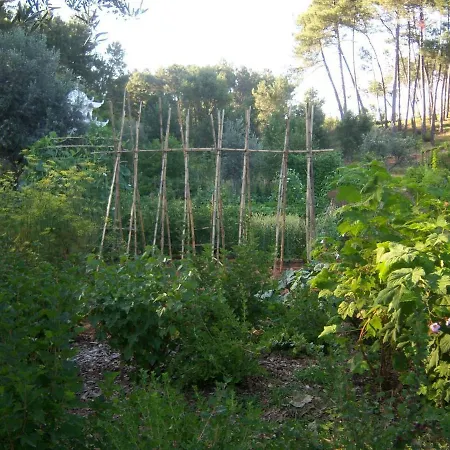 Ferienhaus Casa Aloes Cottage Garden Retreat Pedrogao Grande Pedrogao Grande