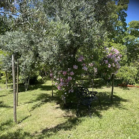 Ferienhaus Casa Aloes Cottage Garden Retreat Pedrogao Grande *