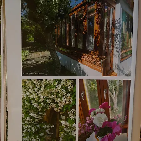 Casa Aloes Cottage Garden Retreat Pedrogao Grande Ferienhaus Pedrogao Grande