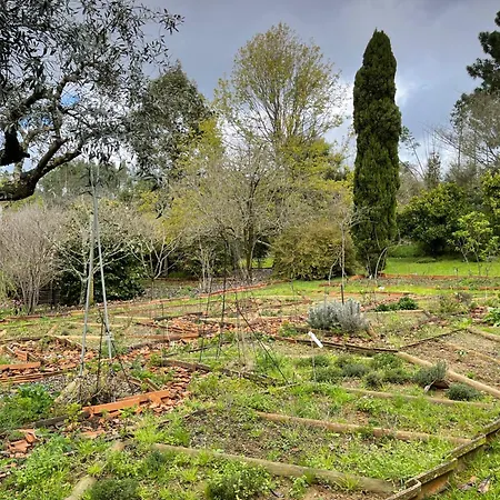 Ferienhaus Casa Aloes Cottage Garden Retreat Pedrogao Grande Pedrogao Grande