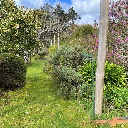 Lovely 4-bed Near * Pedrogao Grande