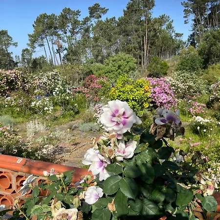 Casa Aloes Cottage Garden Retreat Pedrogao Grande Ferienhaus