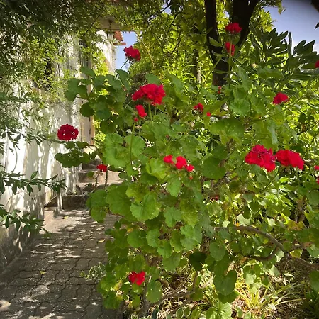 Casa Aloes Cottage Garden Retreat Pedrogao Grande