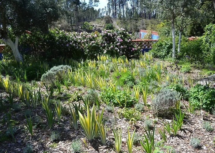 Charming Garden Retreat In *