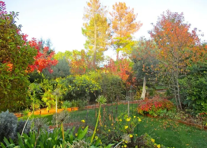 Charming Garden Retreat In Дом отдыха