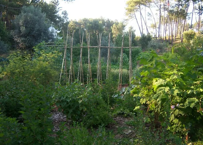 Дом отдыха Charming Garden Retreat In Педроган-Гранди