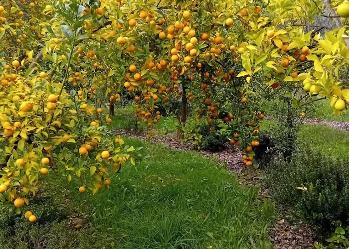 Дом отдыха Charming Garden Retreat In Педроган-Гранди