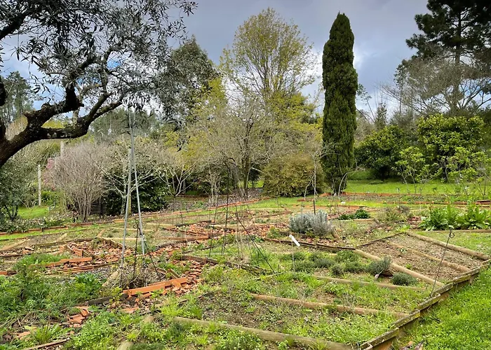 Дом отдыха Charming Garden Retreat In Педроган-Гранди