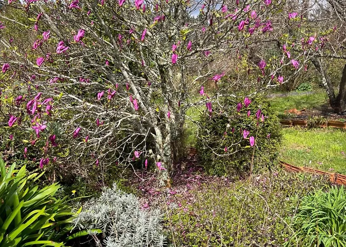 Charming Garden Retreat In Дом отдыха Педроган-Гранди