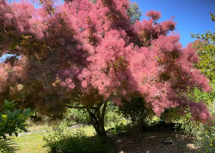 Дом отдыха Charming Garden Retreat In