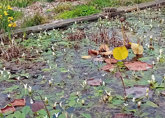 Charming Garden Retreat In Дом отдыха *