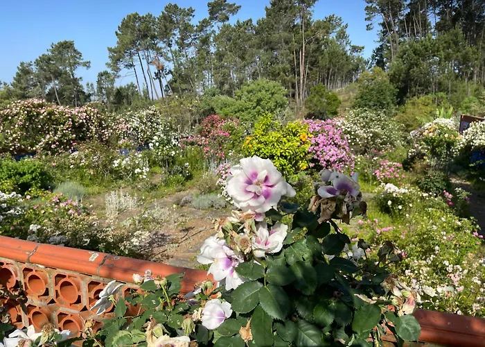 Charming Garden Retreat In Дом отдыха