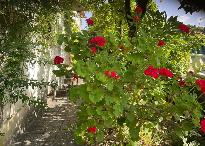 Charming Garden Retreat In