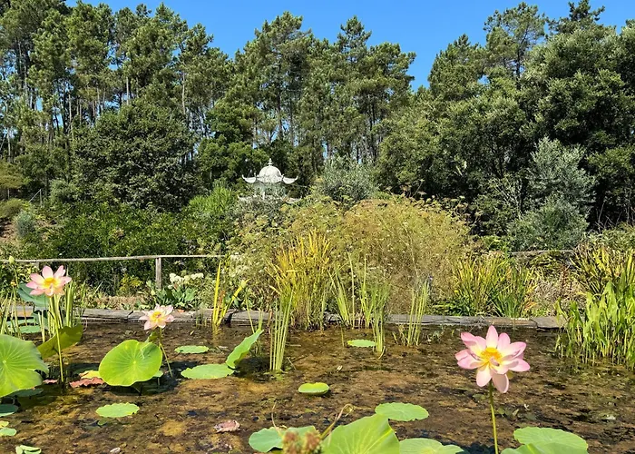 Charming Garden Retreat In Дом отдыха *